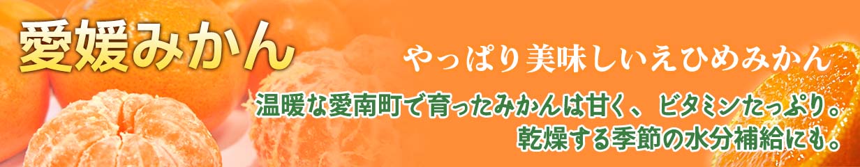 愛媛みかん